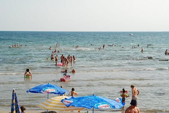 Bungalow Leo Savudrija Kültér fotó