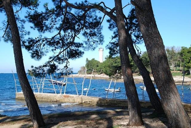 Bungalow Leo Savudrija Kültér fotó